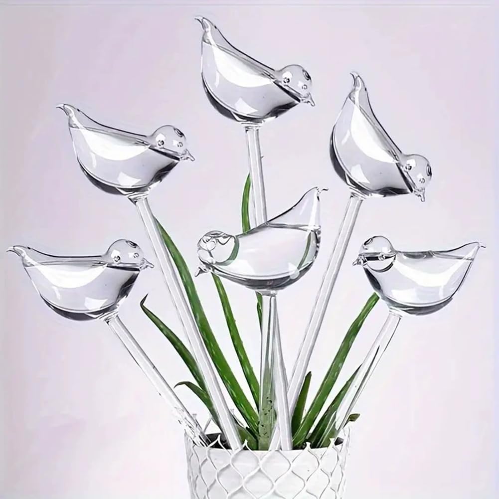 Dispositif d'arrosage pour plantes: en plastique, 6 Pièces